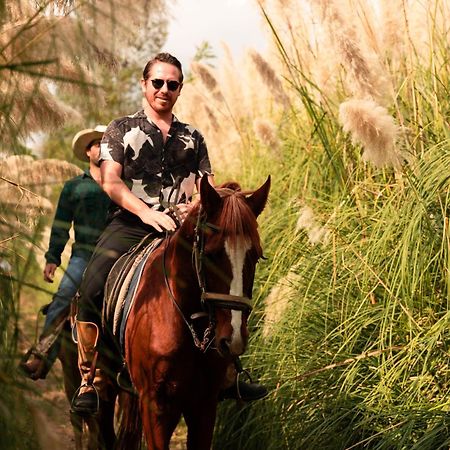 Rancho Reencuentro Eco Hotel & Cabalgatas فالي دي برافو المظهر الخارجي الصورة